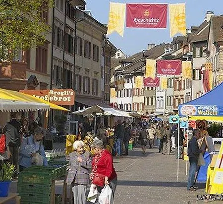 Schiff Am Rhein Rheinfelden