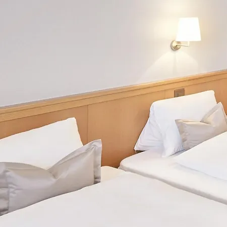 Schiff Am Rhein 3* Rheinfelden